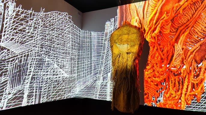 Снимка за ИМ Оряхово / Екимджиева къща