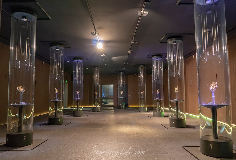 Снимка за ИМ Панагюрище