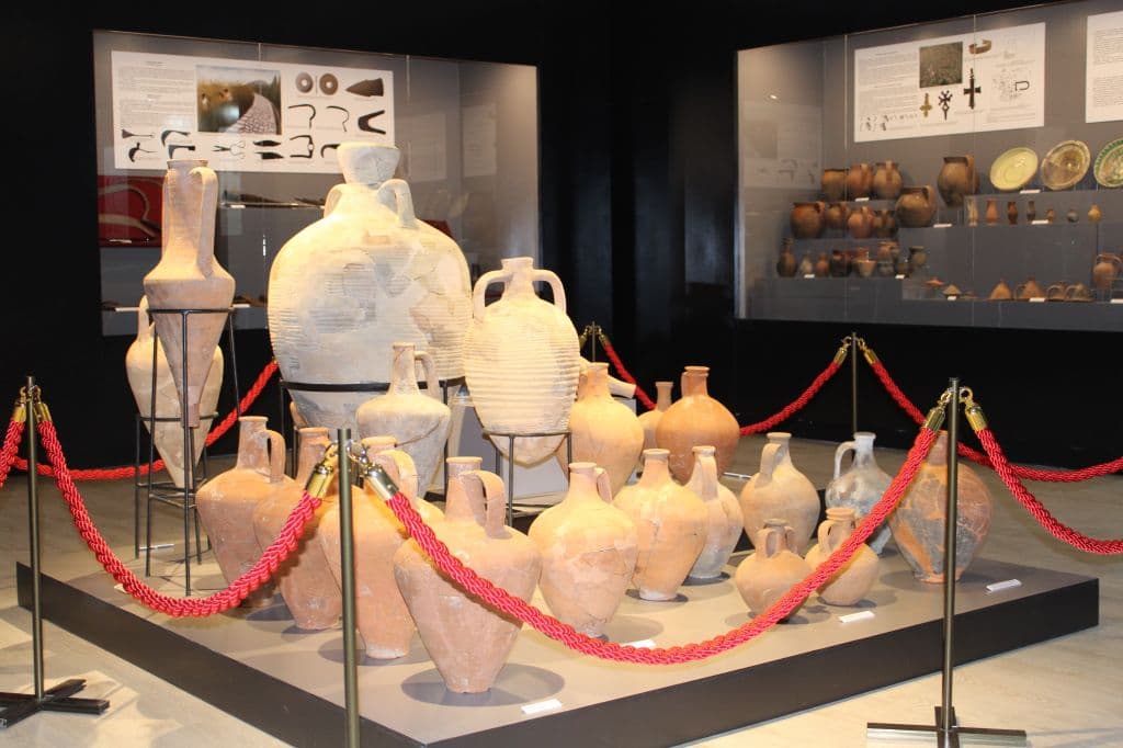 Снимка за ИМ Нова Загора