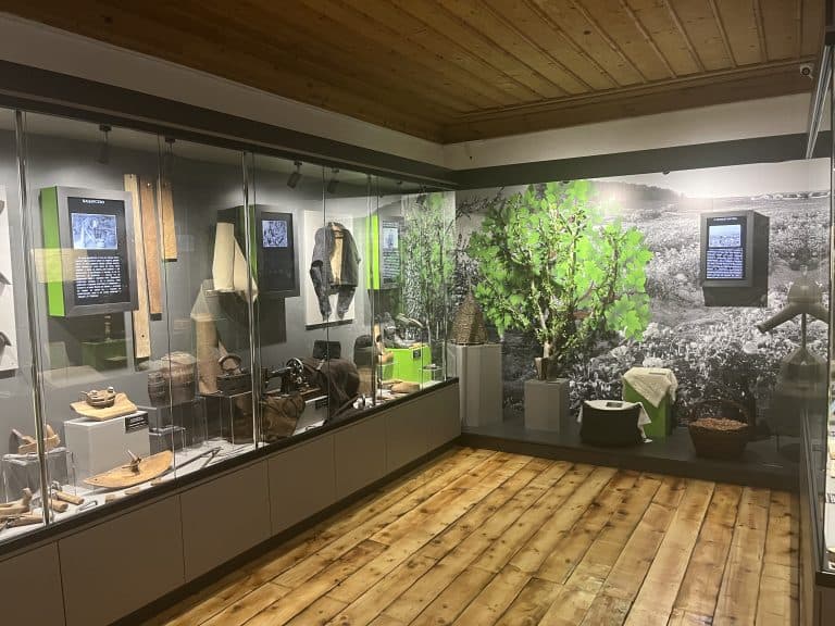 Снимка за ИМ Стрелча